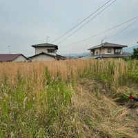 画像254