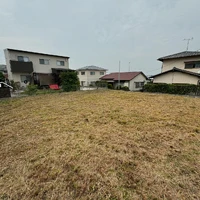 画像255