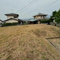 画像256
