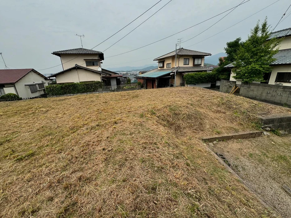 画像256