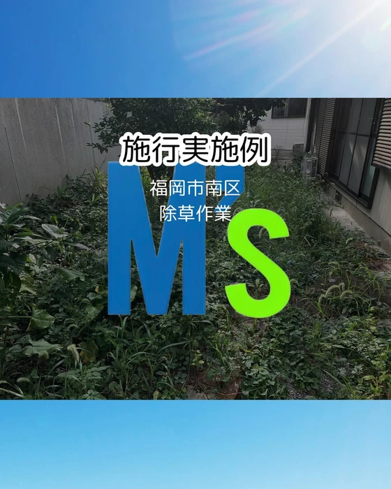 画像324