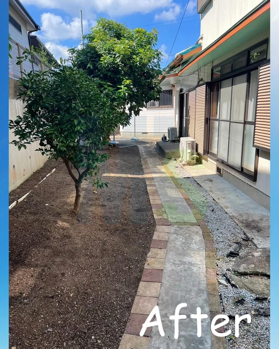 画像326