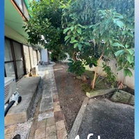 画像328