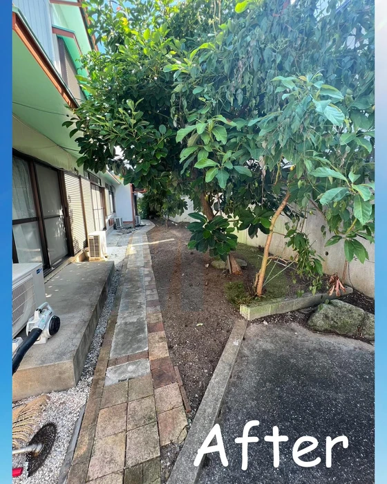 画像328
