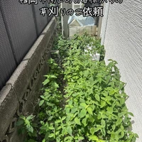 画像399