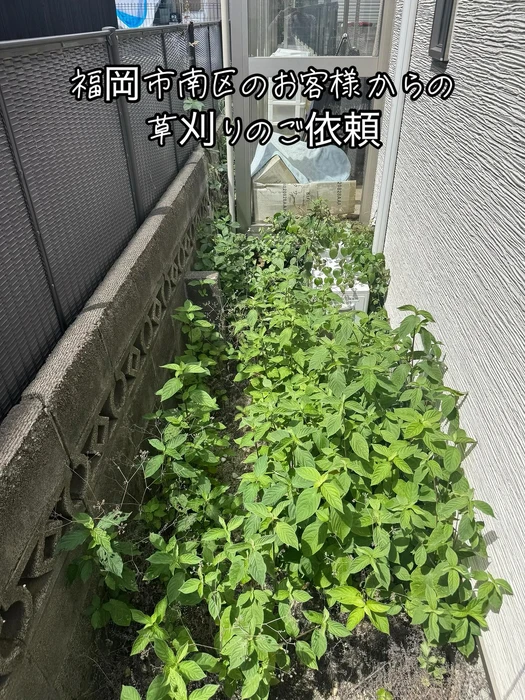 画像399