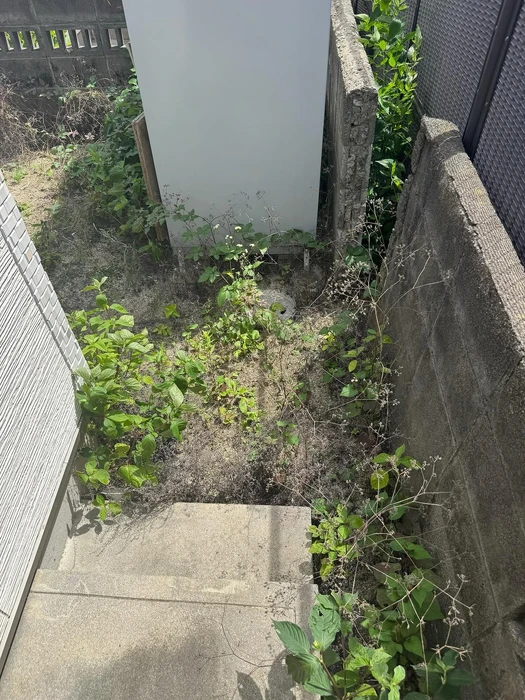 画像401