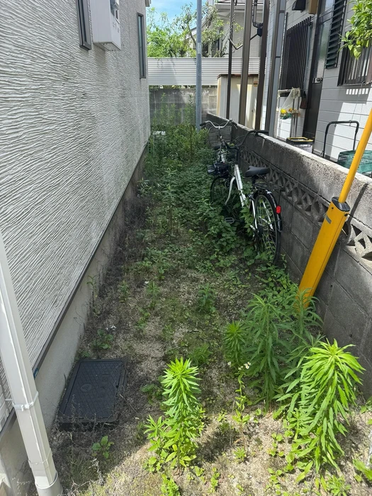 画像405