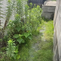 画像407