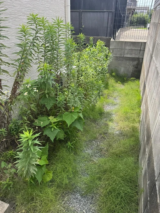 画像407